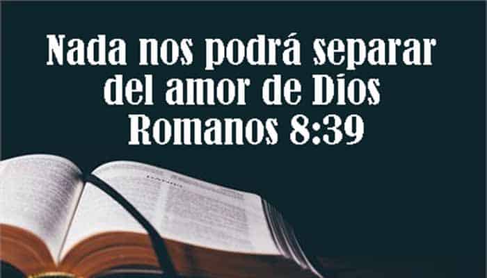 Versículos Sobre El Amor De Dios Qué Dice La Biblia