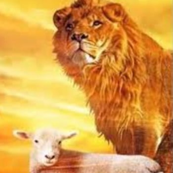 El león de la tribu de Judá